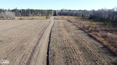 217 Wadboo Plantation Rd, Saint Stephen, SC 29479 - photo 6