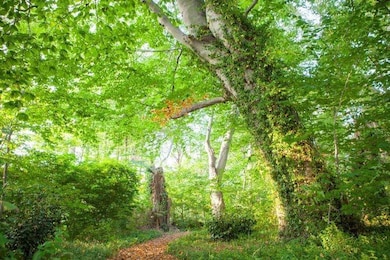 The private woodland walk at Merrillton.