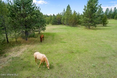 NNA E Forest View Rd, Athol, ID 83801 - photo 3