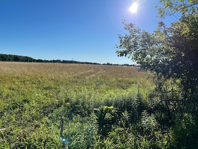 16222 Holden Rd unit B-2, Galien, MI 49113 - photo 4