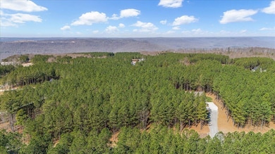 3940 Crockett Point, Jasper, TN 37347 - photo 6