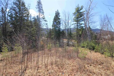 6 Lost Pass Rd unit 37B, Waterville Valley, NH 03215 - photo 2