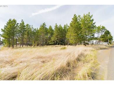 29507 I St, Ocean Park, WA 98640 - photo 4