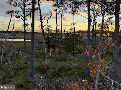 0 Robinson Neck Rd unit MDDO2011116, Taylors Island, MD 21669 - photo 2