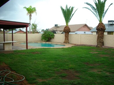 Large Grassy Backyard