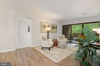 11220 Chestnut Grove Square unit 323, Reston, VA 20190 - photo 3