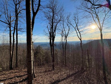 246 Bella Vista Ct unit CVN-CM-009, Zirconia, NC 28790 - photo 2