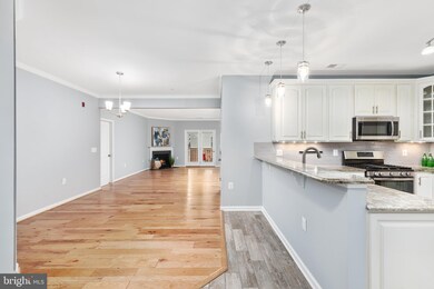 41900 Metamorphic Square unit 203, Aldie, VA 20105 - photo 6