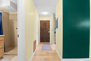 520 Ridgewood Ave unit 4, Minneapolis, MN 55403 - photo 3