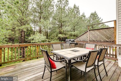 42271 St Huberts Place, Chantilly, VA 20152 - photo 2