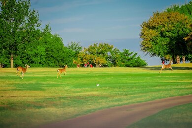 255 Bent Oak Dr, Pottsboro, TX 75076 - photo 6