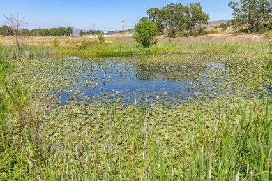 11773 Highway 62, Eagle Point, OR 97524 - photo 6