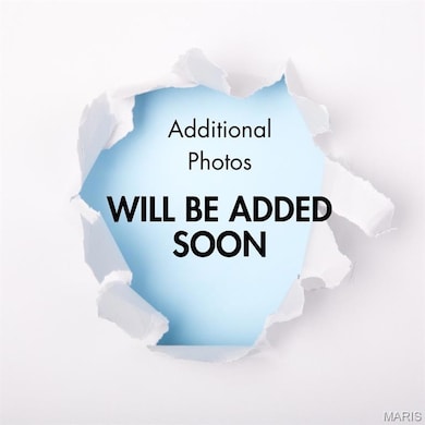 5 Grant Ct, Troy, IL 62294 - photo 6