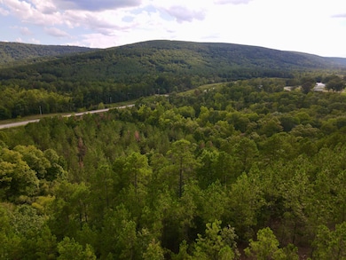 16 Three Waters Dr, Honobia, OK 74957 - photo 3