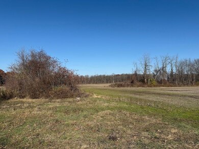 0 Lynch Rd unit 25700809, Murray, NY 14470 - photo 3