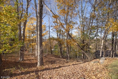 13 Summit Ave, Newton, NJ 07860 - photo 4