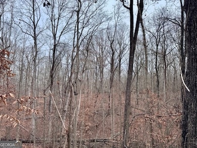 4260 Joe Chandler Rd, Gillsville, GA 30543 - photo 5