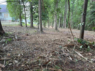 25 Crickle Creek Ln, Camden, SC 29020 - photo 2