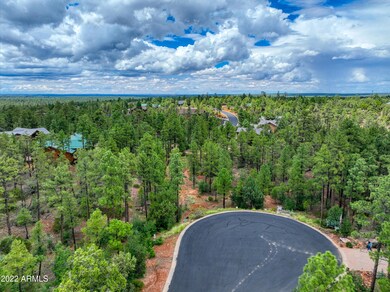 2080 S High Sierra Ct unit 86A, Show Low, AZ 85901 - photo 7