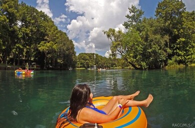 00 SW 202 Avenue Rd, Dunnellon, FL 34431 - photo 6