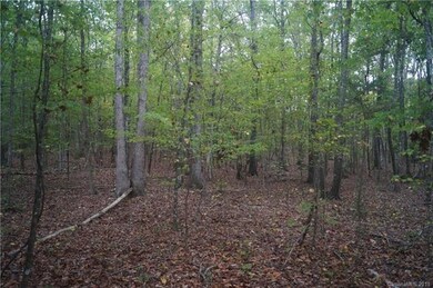 00 Mcgill Rd, Smyrna, SC 29743 - photo 7