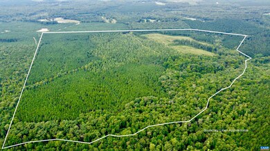 6891 Grand Brooks Rd, Spotsylvania, VA 22551 - photo 7