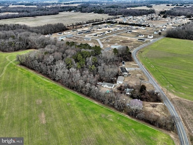 18691 Fleatown Rd, Lincoln, DE 19960 - photo 2