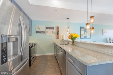 803B Spring Mill Ave unit 9, Conshohocken, PA 19428 - photo 7