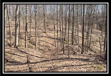 13438 Ohio 595, Logan, OH 43138 - photo 5