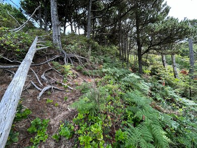 TL#3900 S Castle Ln, Oceanside, OR 97141 - photo 7