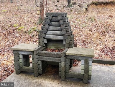 295 Cold Run Valley Rd, Berkeley Springs, WV 25411 - photo 4