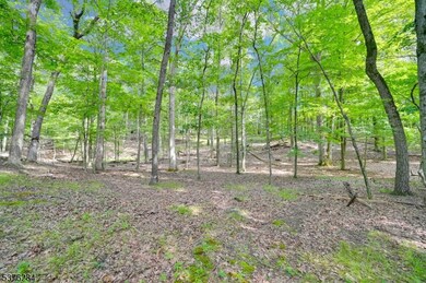 51 Paulinskill Lake Rd, Fredon Twp., NJ 07860 - photo 5