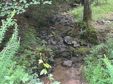 5613 Hendon Rd, Graysville, TN 37338 - photo 5