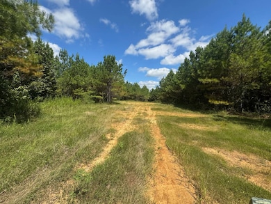 00 Carver Point Rd, Coffeeville, MS 38922 - photo 7