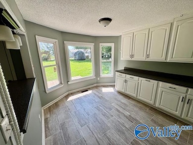 1439 Carter Grove Rd, Hazel Green, AL 35750 - photo 4