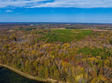 HWY 641 Puryear Crossland Rd, Puryear, TN 38251 - photo 7