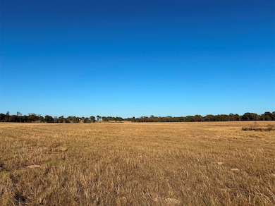 000 Fm 1653, Ben Wheeler, TX 75754 - photo 2