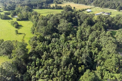 tbd Port Hudson Pride Rd, Pride, LA 70770 - photo 5