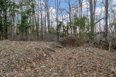 10-web-or-mls-DJI_0535