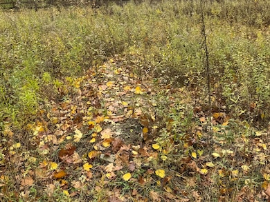 000 W Clear Lake Rd, Buchanan Township, MI 49107 - photo 4