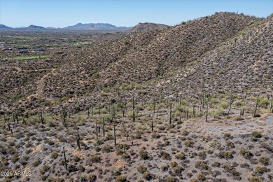 41927 n charbray 03-003-043-1500x1000