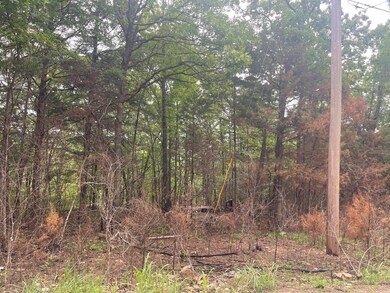 000 Lot 12 Mach Ln, Swan Township, MO 65740 - photo 2