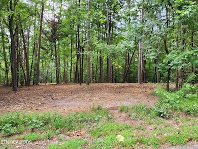 0 Lot 146 & 147 Lakeview Dr unit 1311025, Sharps Chapel, TN 37866 - photo 3