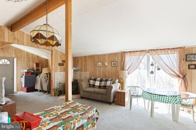 388 Cedar Rd, Strasburg, VA 22657 - photo 5