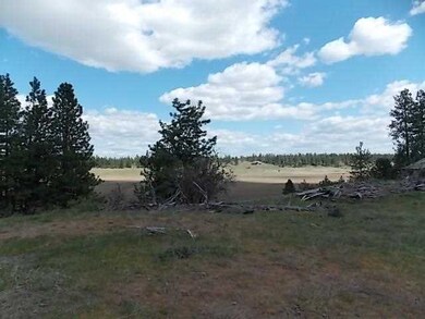 0 N Old Trails Rd unit 201317106, Spokane, WA 99224 - photo 7