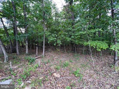 0 Lot 51 Clavius Way unit WVBE2012858, Hedgesville, WV 25427 - photo 7