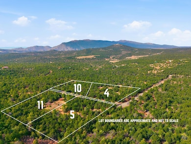 4 Hayner Ct, Tijeras, NM 87059 - photo 7