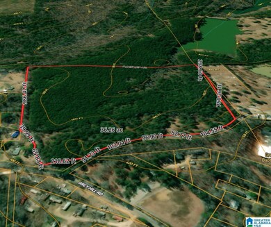 100 Presbyterian Church Rd, West Blocton, AL 35184 - photo 6