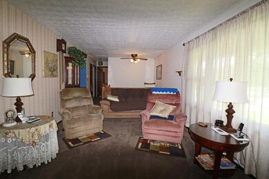 IMG_1547_edited-1