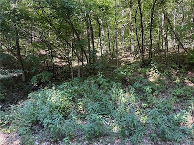 0 Cr 995 Rd unit 1316360, Green Forest, AR 72638 - photo 3